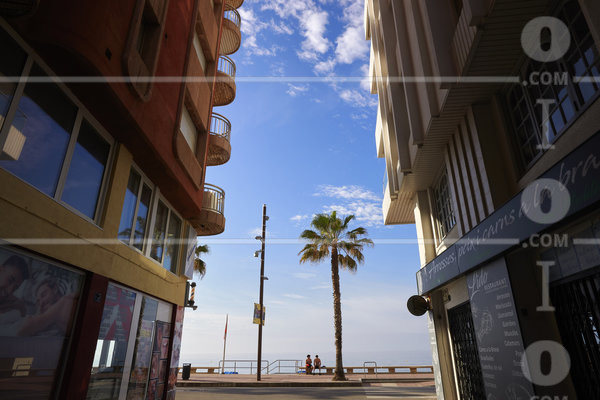 PS_122110.jpg