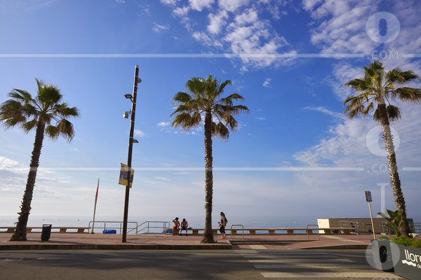 PS_122111.jpg