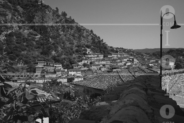PS_127451.jpg