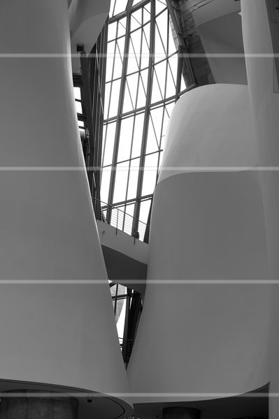 PS_023822.jpg