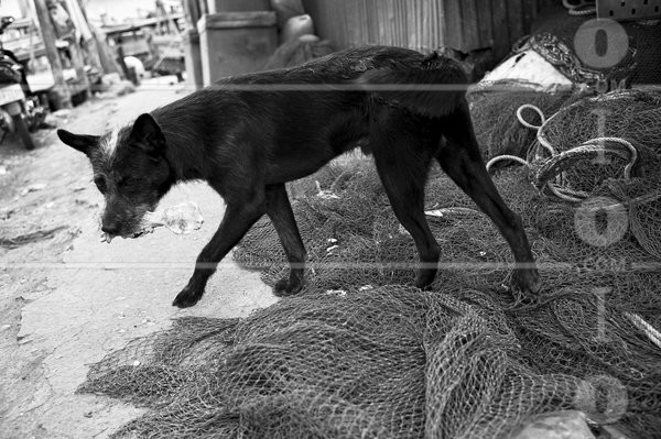 PS_060591.jpg